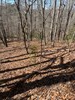 Listing Photo 26040144